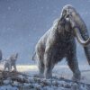 Million-Year-Old DNA Yields Mammoth Surprises