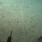 NOAA Scientists Found Strange Line of Holes 1.7 Miles Below the Atlantic Ocean Surface, What Could It Be?