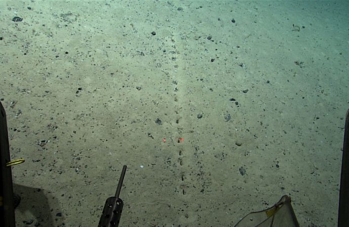 NOAA Scientists Found Strange Line of Holes 1.7 Miles Below the Atlantic Ocean Surface, What Could It Be?