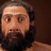 Study of ancient skulls sheds light on human interbreeding with Neanderthals￼