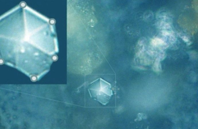 Never-before-seen crystals found in perfectly preserved meteorite dust￼