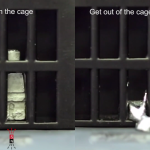 Scientists Create ‘Terminator’ Robot That Melts, Escapes Cages